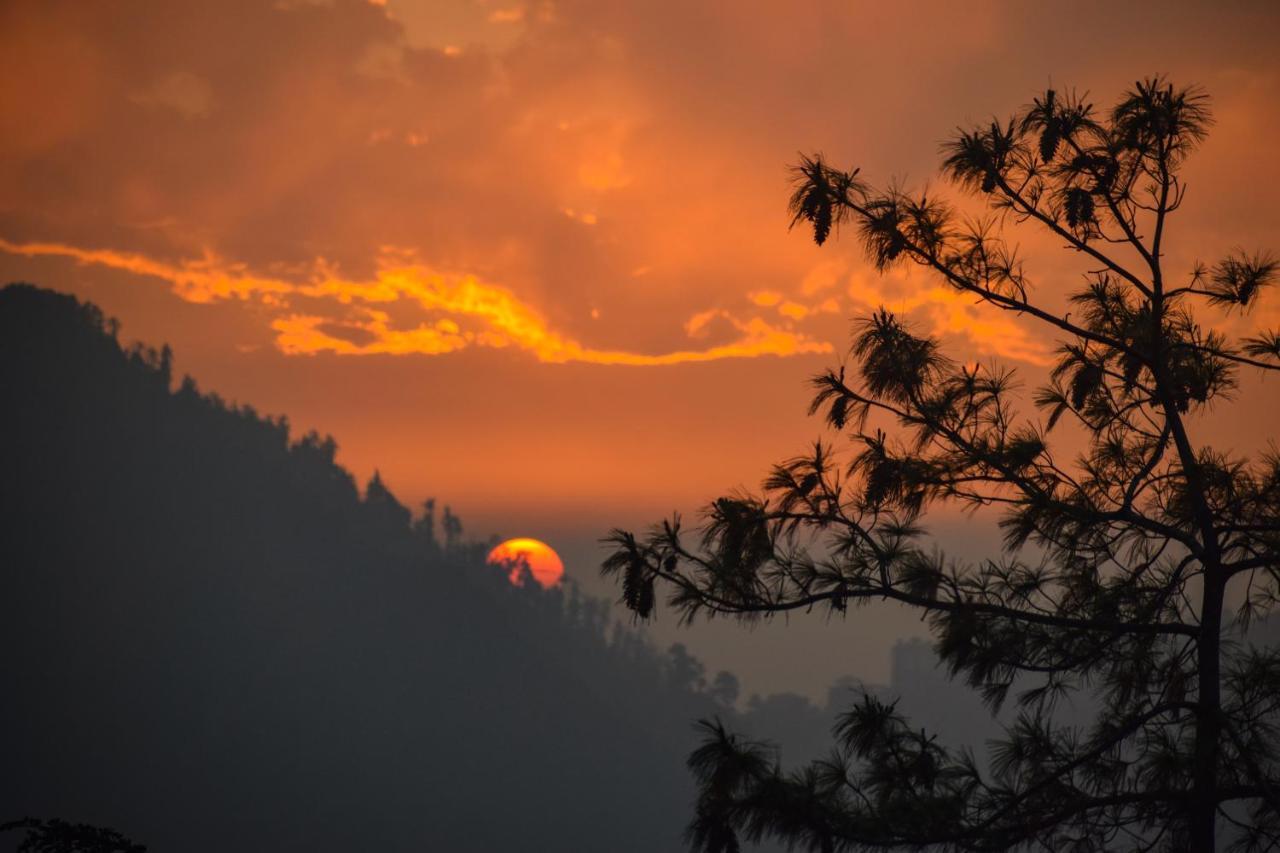 Aachman Nature Valley Resort, Mashobra Shimla Exterior photo